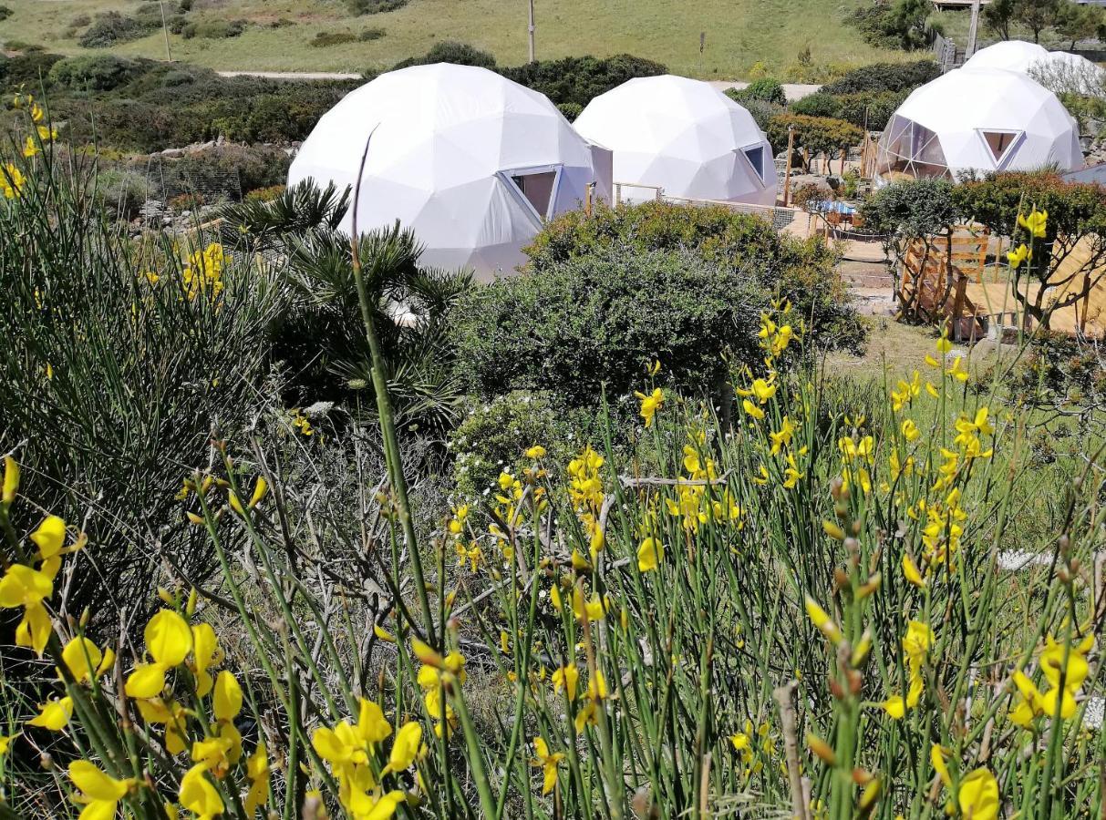 B&B Glamping Semaforo Capo Sperone Сант-Антиоко Экстерьер фото