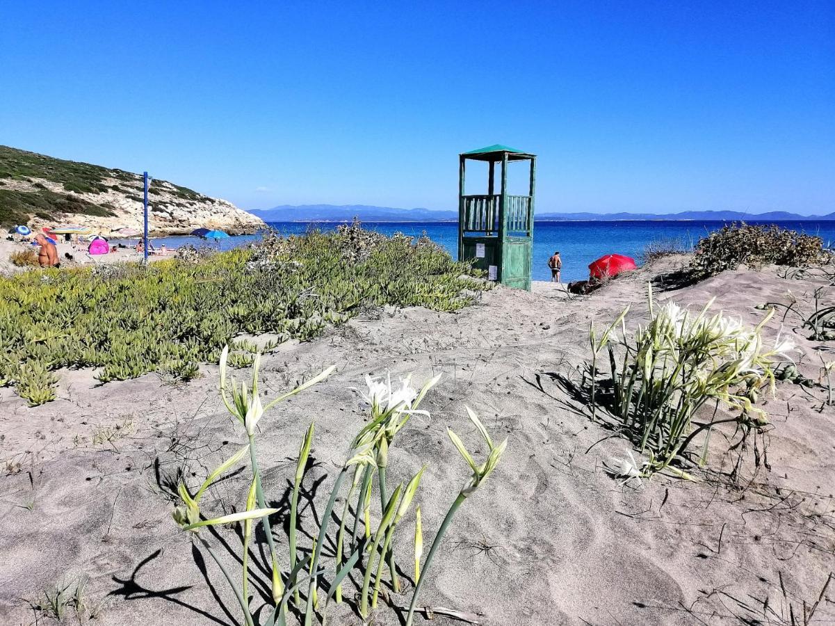 B&B Glamping Semaforo Capo Sperone Сант-Антиоко Экстерьер фото