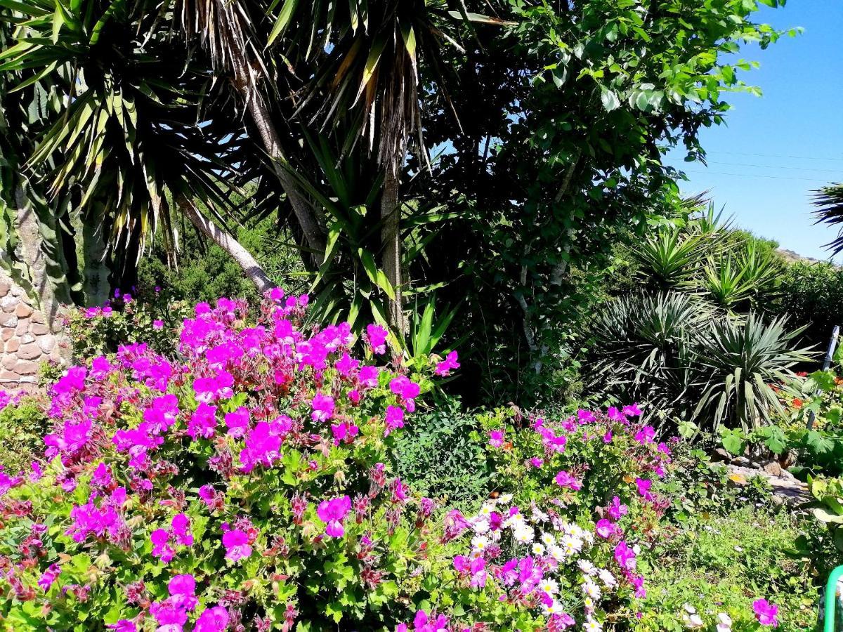 B&B Glamping Semaforo Capo Sperone Сант-Антиоко Экстерьер фото
