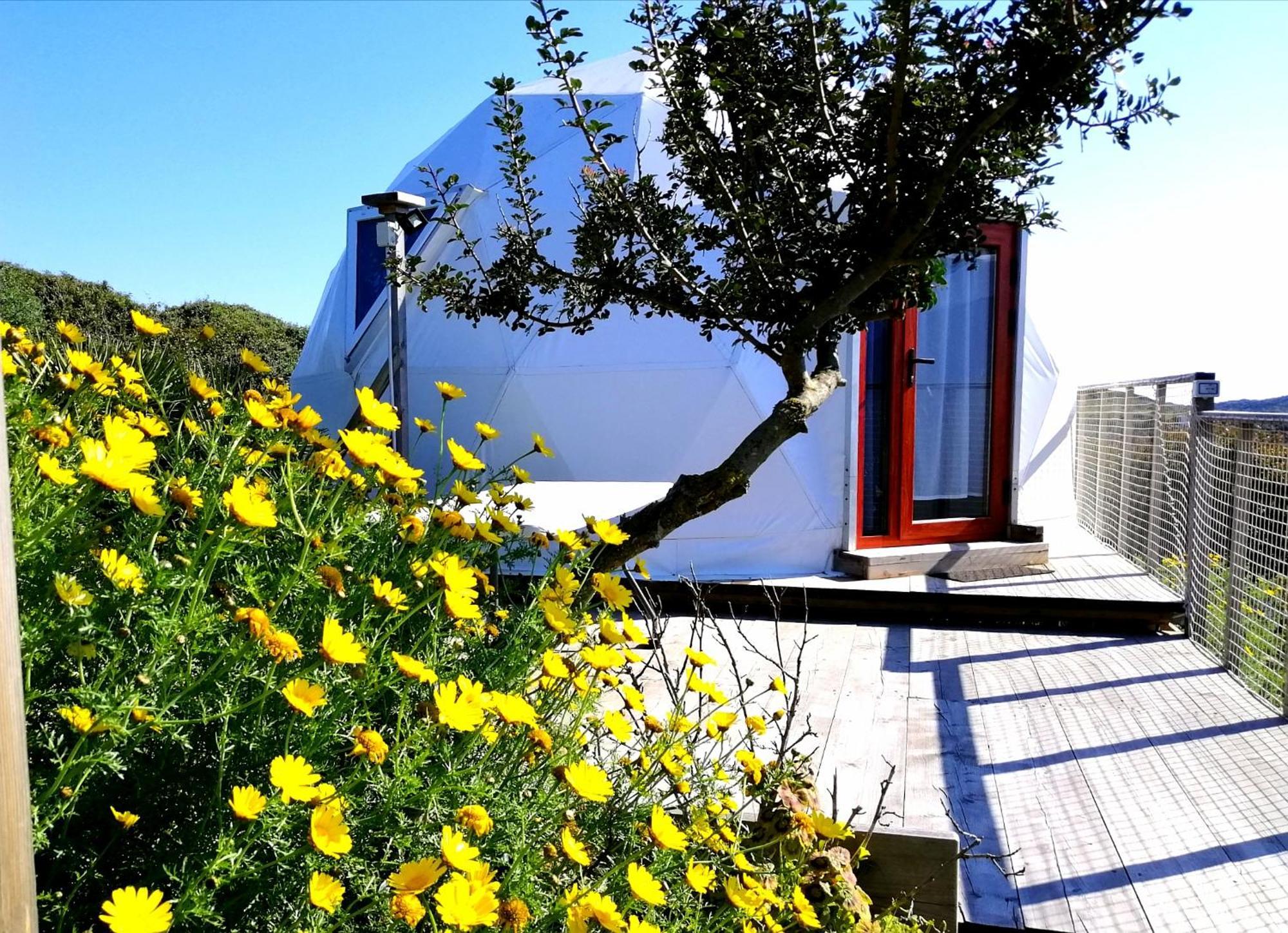 B&B Glamping Semaforo Capo Sperone Сант-Антиоко Номер фото